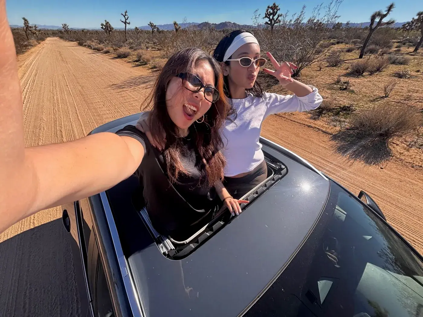 Joshua Tree retreat